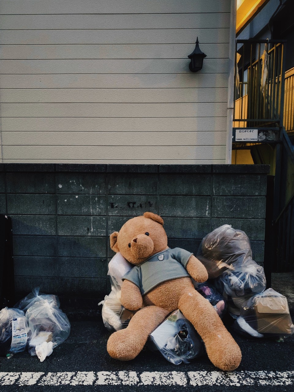 2019.3  photo by iPhone