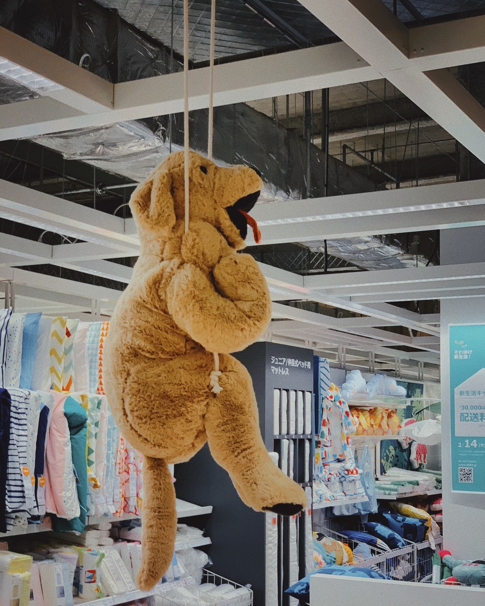 2019.4  photo by iPhone