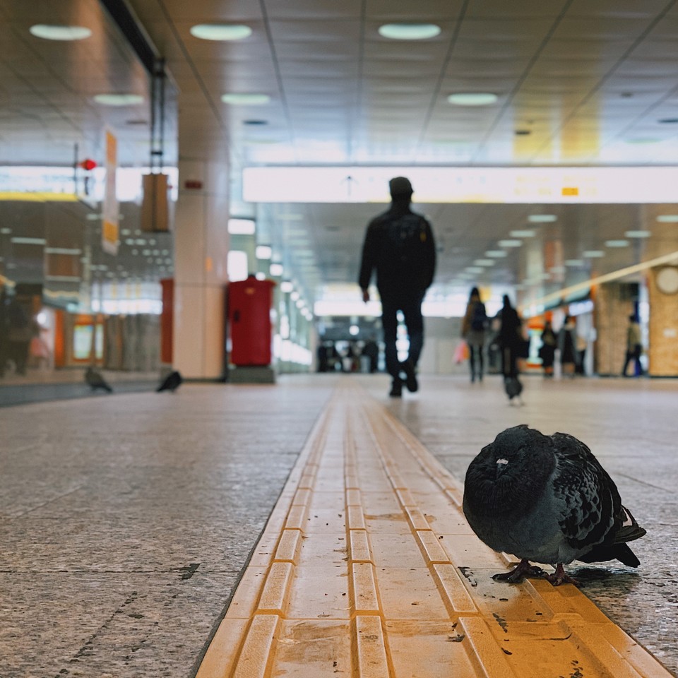 2018.12  photo by iPhone